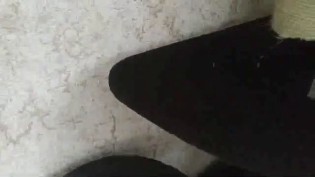 Варежка TWIST компании Greenway!Очищаем шерсть домашних животных! смотреть онлайн