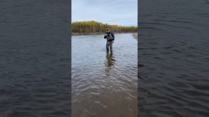 Как мы тайменя на 28 кг отпускали, а он не хотел уплывать. На что ловить и на что ловиться Таймень.