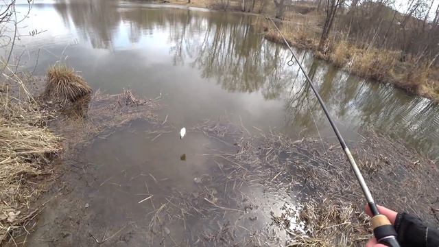 Рыбалка на микроджиг.