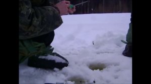 На буране до избушки.