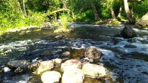 Водопад на реке Вята (Беларусь, Миорский район)