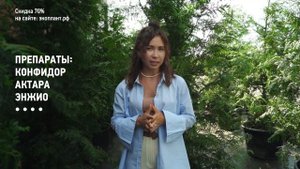 ВРЕДИТЕЛИ ТУИ ?Ваша туя будет в безопасности после этого видео!