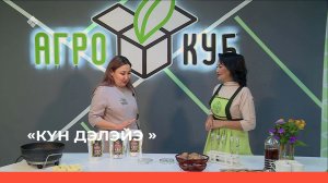 «Күн дэлэйэ»  (20.11.22)