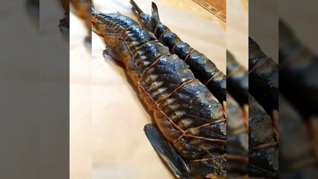 Закоптили осетра. осетр горячего копчения! оцените смотреть онлайн