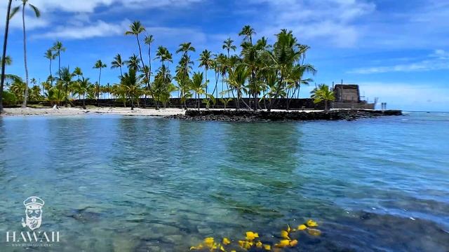 ГАВАЙИ место силы ? Звуки Природы. Музыкальная терапия. Шум Океана, Прибой смотреть онлайн