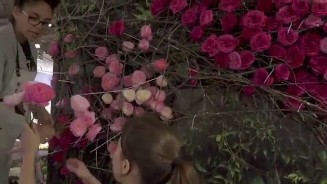 Garden rose installation by Moscow Flower School at Crocus Expo 2018 смотреть онлайн
