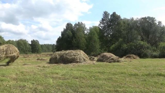 Сенокос по Сибирски или помощь другу. 1 часть. смотреть онлайн