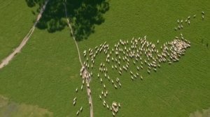 Уругвай. Мнение Иммигранта. Плюсы и Минусы жизни в Уругвае.