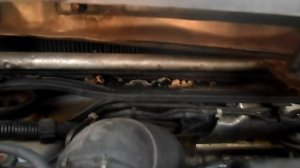 Seat Alhambra. Фильтр салона