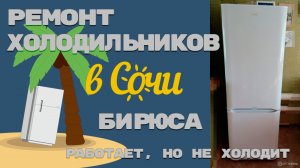 Ремонт холодильника Бирюса Утечка по контуру.