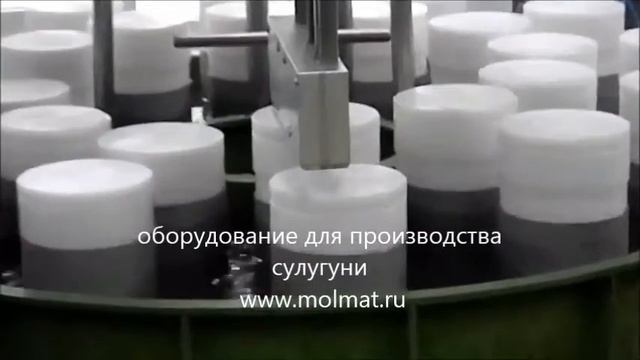 производство сыра сулугуни www.molmat.ru