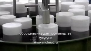 производство сыра сулугуни www.molmat.ru