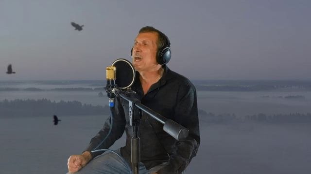 ВОРОНЫ ...