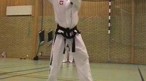 Таэквон-до Тули Техника выполнения Taekwon-do ITF 08hwarang
