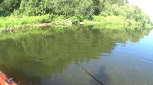 За уловом по Тайдону