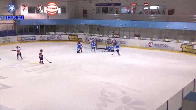 Шайба в воротах \ Хоккей в сердце