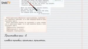 Упражнение №246 — Гдз по русскому языку 6 класс (Ладыженская) 2019 часть 1