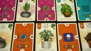 Настольная игра «Зелёный дом» — краткий обзор