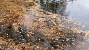 Рыбалка на спиннинг, на орловском карьере.