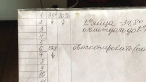 Инкубация гусиного яйца(на словах), как я это делаю.