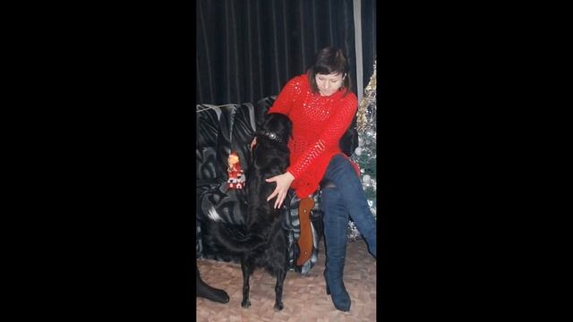 Вязание спицами и крючком / Модели для примера /Вязала для дочери Елены