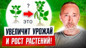 Так Вы поднимите свой урожай в 2 раза: в саду и огороде, теплице и поле! И будет здоровая почва!