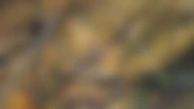 "Не забудь, что я есть у тебя..." смотреть онлайн