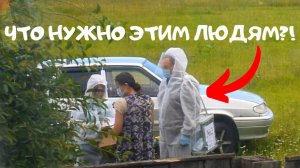 Приехали люди в костюмах. Что с нашими животными. Сенокос наконец то закончился