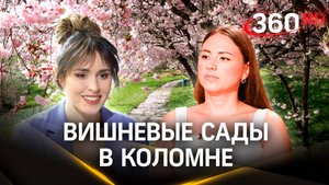 В Коломне возрождают традицию вишневых садов