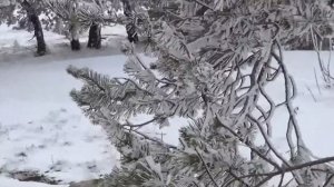 Дорога на Ай-Петри