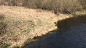 деревня Бор в Ленинградской области