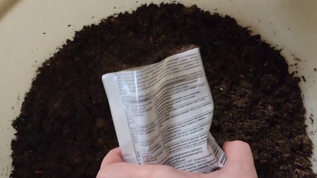 Удобрение голубики кислым торфом с микоризой для осыпного крупного сладкого урожая ягод