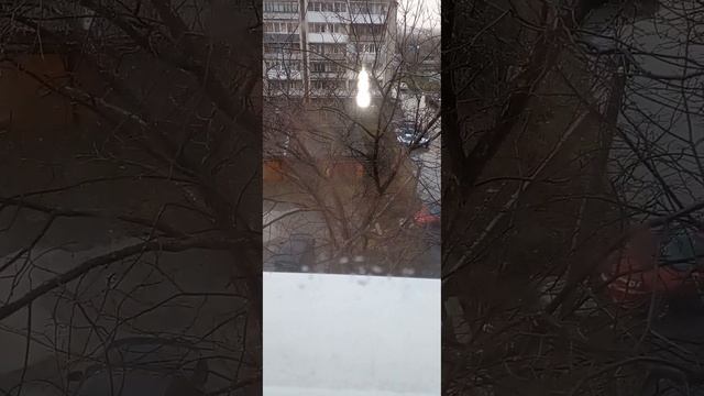 Передача про голубей смотреть онлайн