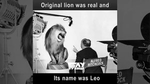 History Of The MGM Logo- This Is Too Surprising!