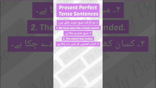 Present Perfect Tense Sentences Urdu To English Translation Daily Use English Short Video By My Boo