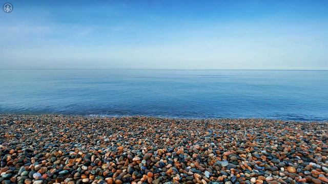 Музыка Живой Природы Чёрное море Расслабляющие звук Wildlife Music Calm Black Sea Relaxing Sounds смотреть онлайн