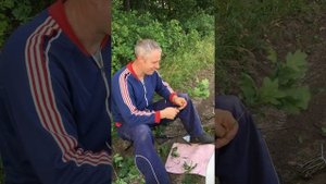 Идеальный дубовый веник