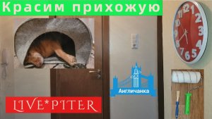 коридорLIVE*PITER: 1 мая под руководством прораба Челси крашу прихожую в белый цвет.