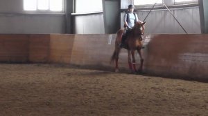СХЕМА ЕЗДЫ КОМАНДНЫЙ ПРИЗ ЮНОШИ2009г