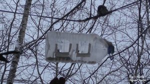 Кормушка "Дирижабль" для мелких птиц  не доступная для голубей.