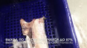 CHSF 1 филетировка рыбы пикша