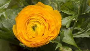 Я ЕСТЬ - медитация