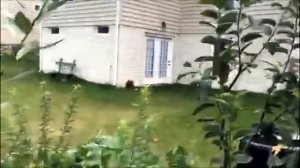 PERISCOPE:РУССКИЙ ОГОРОД В АМЕРИКЕ