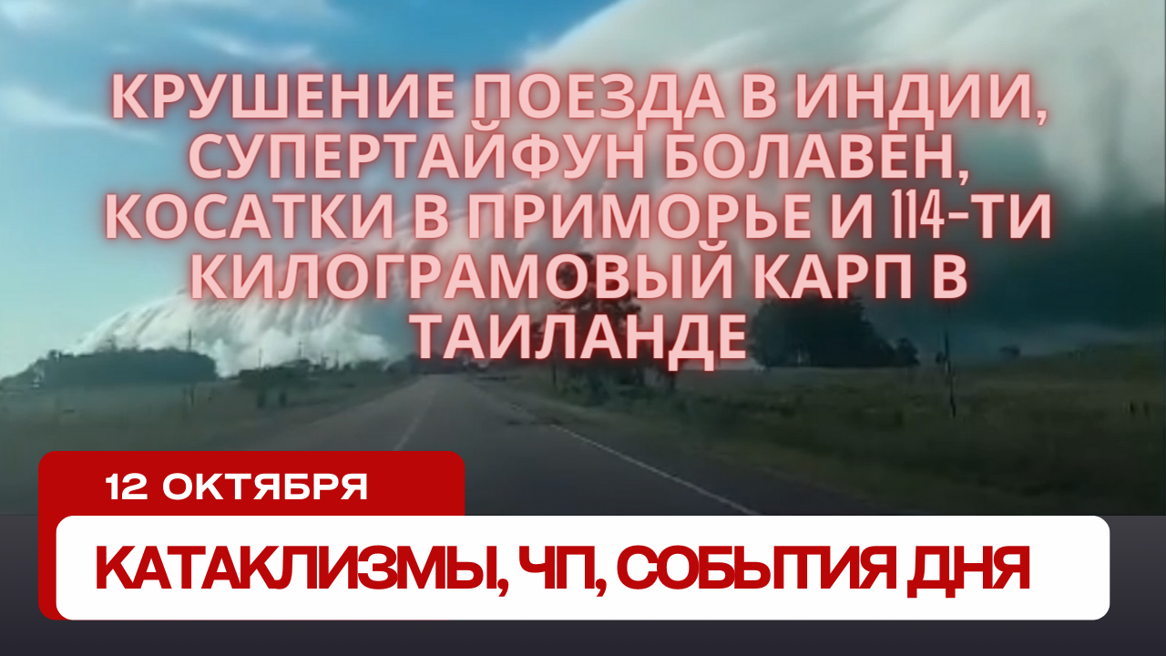 Катаклизмы 12 октября 2023. Новости сегодня. Обзор событий и происшествий.