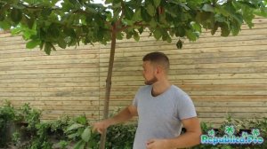 Какая погода в июне в Доминикане? (доминикана. доминикана2017. доминикана цены. доминикана видео)