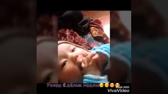 Усма 6 айлык маалы смотреть онлайн