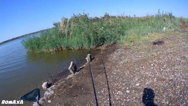 ^ ЭТОТ КАРАСЬ СДЕЛАЛ ЭТУ РЫБАЛКУ! Если бы не он^, не было бы этого видео...!!! смотреть онлайн