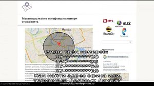 Отслеживание посылок Деловые Линии. Отзывы пользователей.