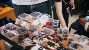 ОБЗОР РЕПТИЛИУМА 2021 | Самое интересное