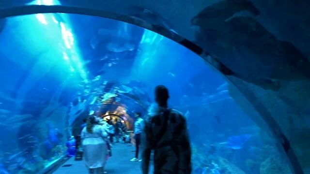 125 ЭТАЖ БУРДЖ-ХАЛИФА (САМОЕ ВЫСОКОЕ ЗДАНИЕ В МИРЕ) / САФАРИ НА ДЖИПАХ В ДУБАЙ 2022 смотреть онлайн